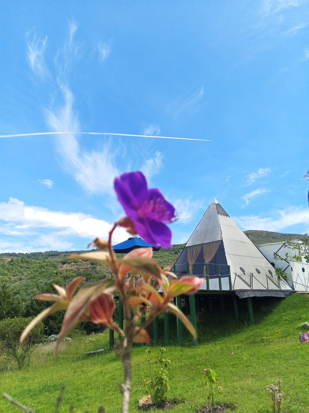 TIPI B